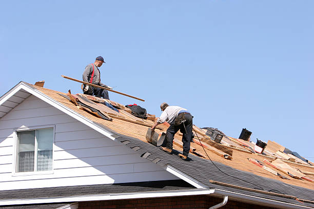 Best Asphalt Shingles Roofing  in Beechwood, MS